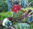 Gardering-with-kids